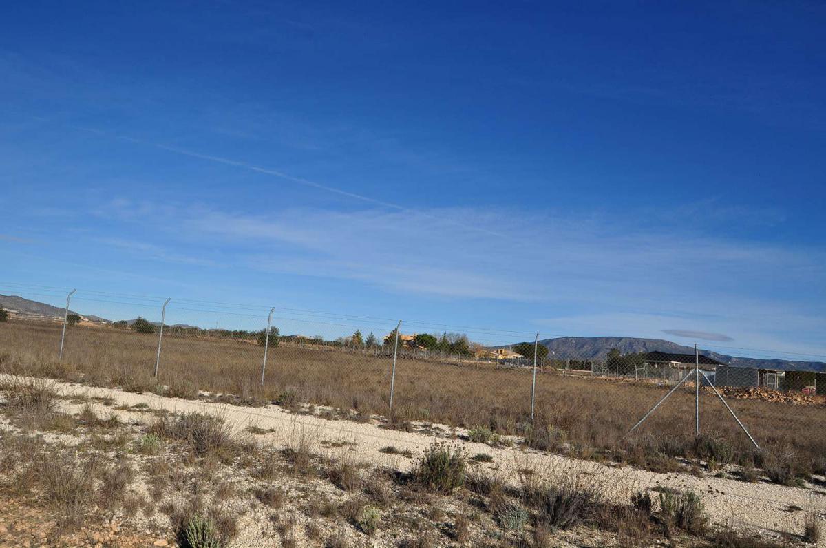 Pool area in land for sale in Pinoso