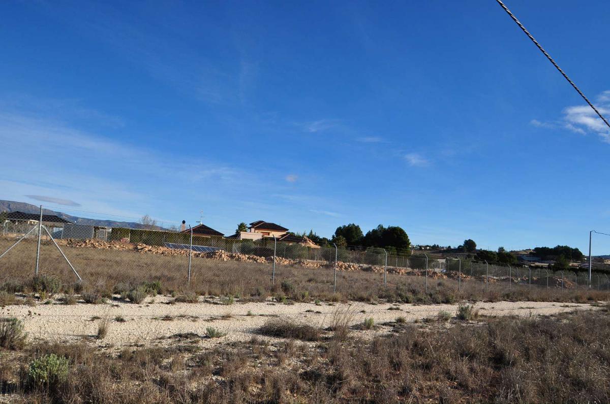Garden in land for sale in Pinoso