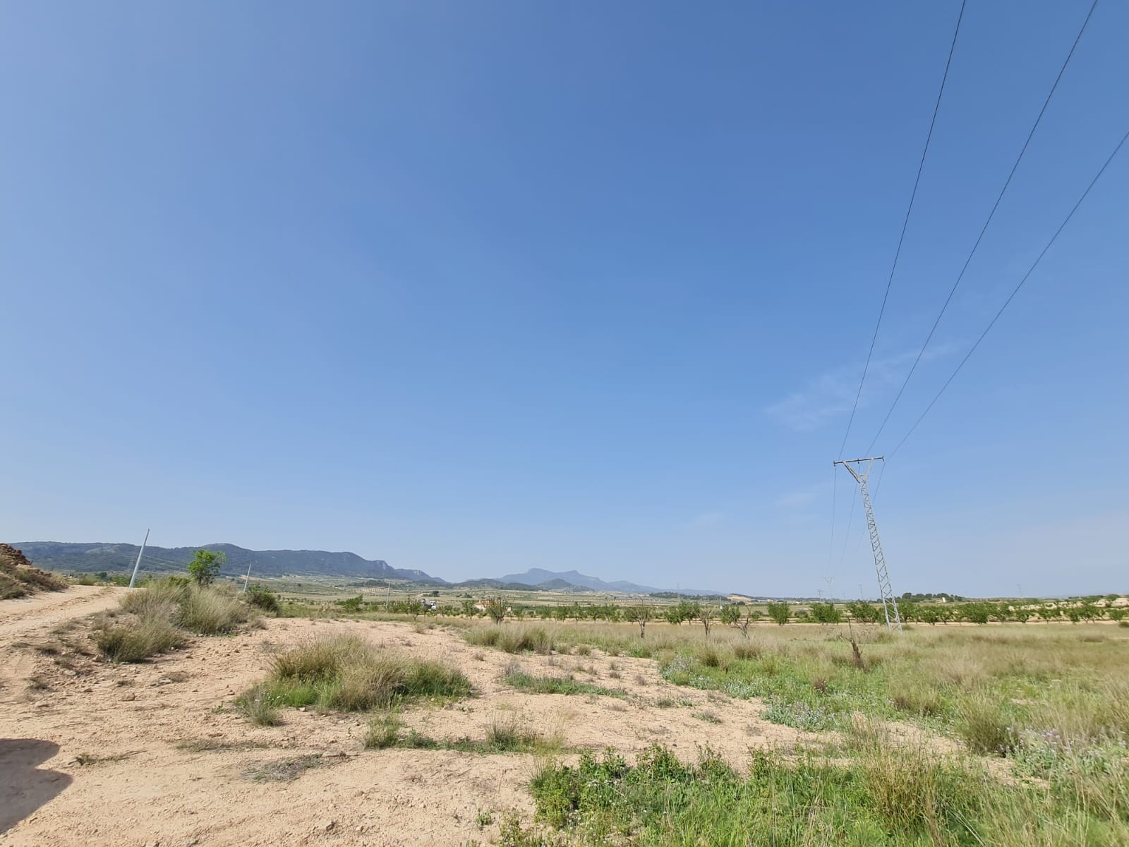 Terrace in land for sale in Jumilla