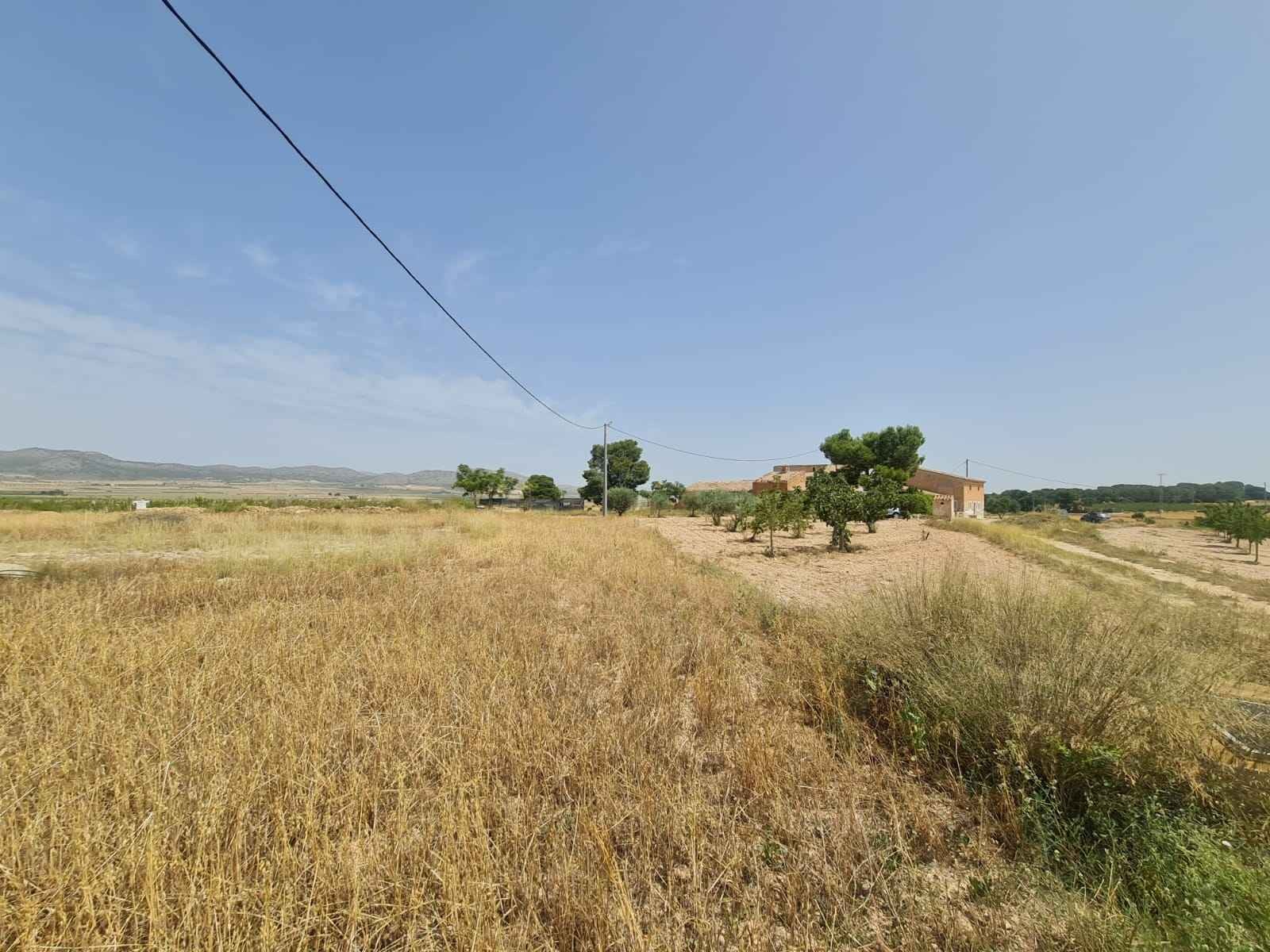 Pool area in land for sale in Yecla