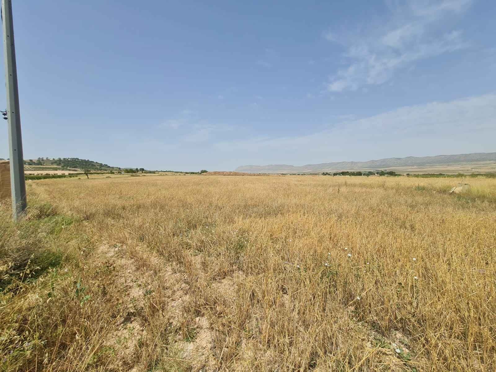 Garden in land for sale in Yecla
