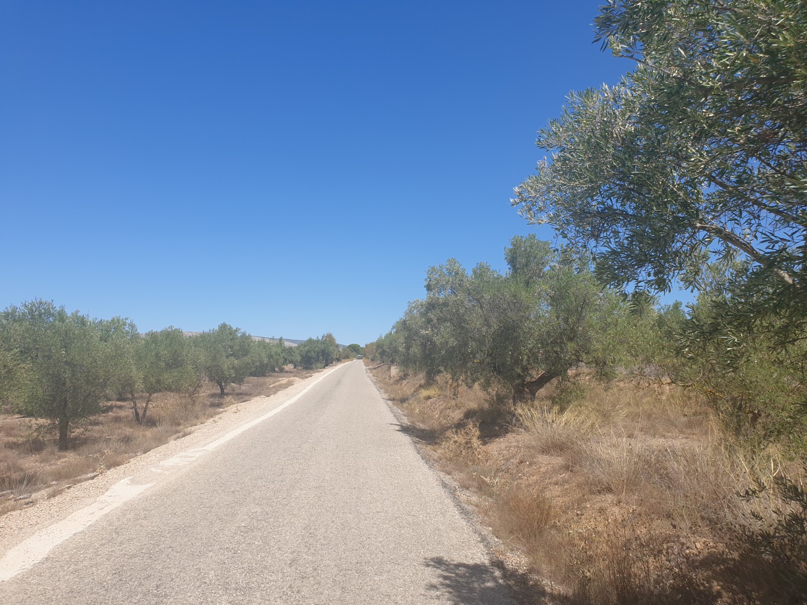 Great plot located on the outskirts of Biar with good access