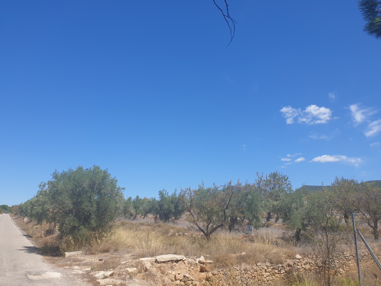 Great plot located on the outskirts of Biar with good access