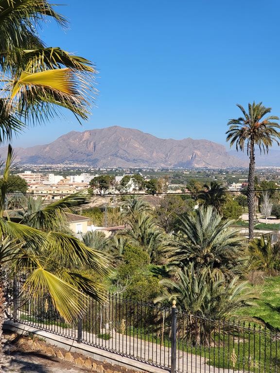 Exterior view in villa for sale in Bigastro