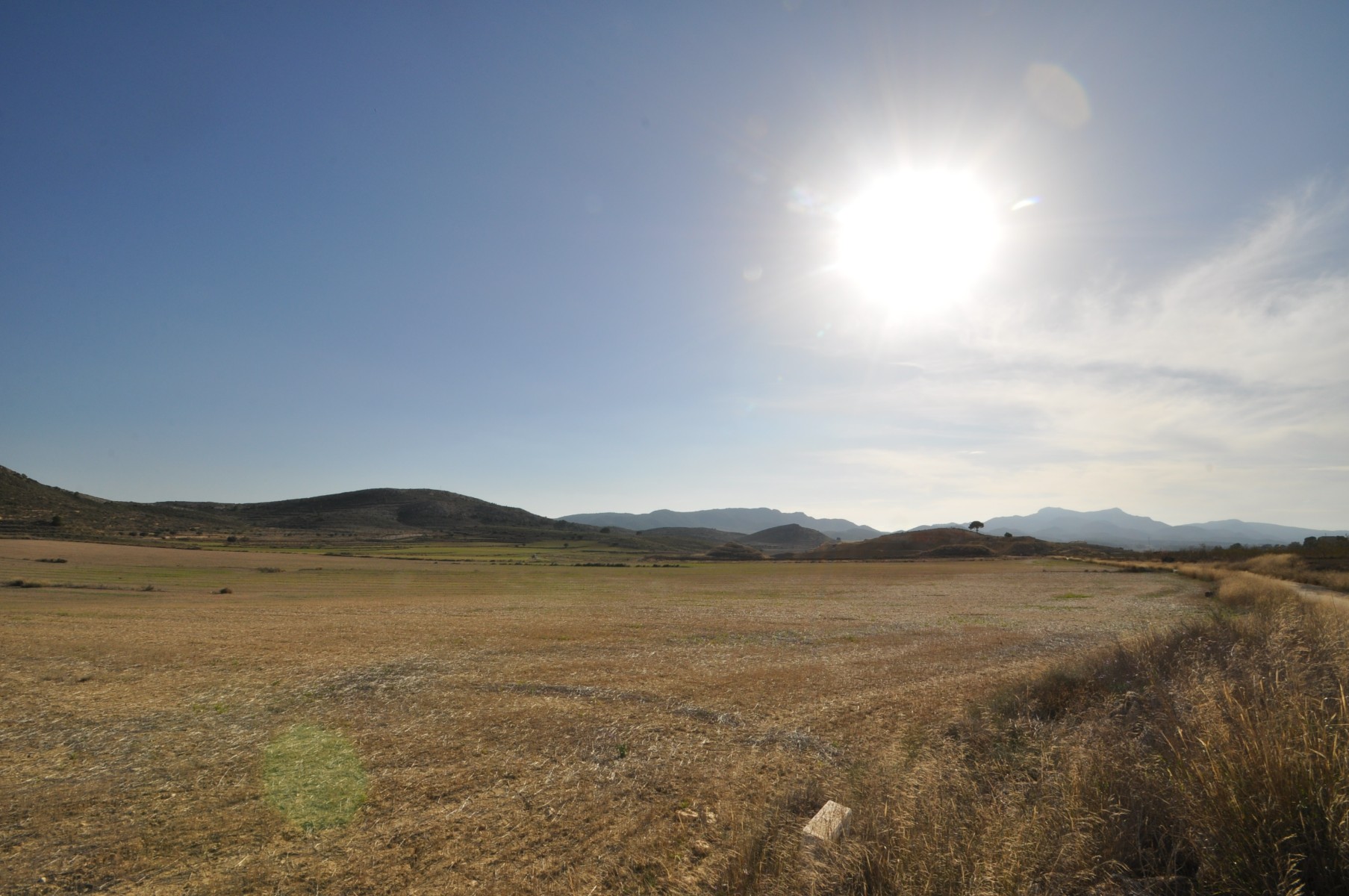 Exterior view in land for sale in Torre Del Rico