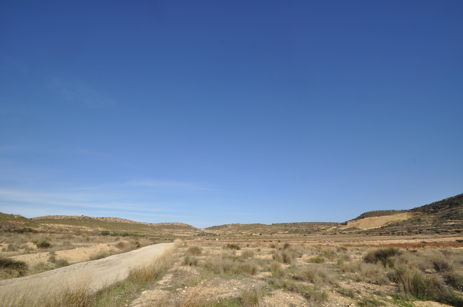 Terrace in land for sale in Torre Del Rico