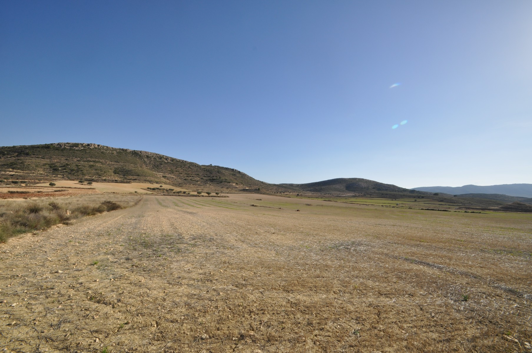 Garden in land for sale in Torre Del Rico