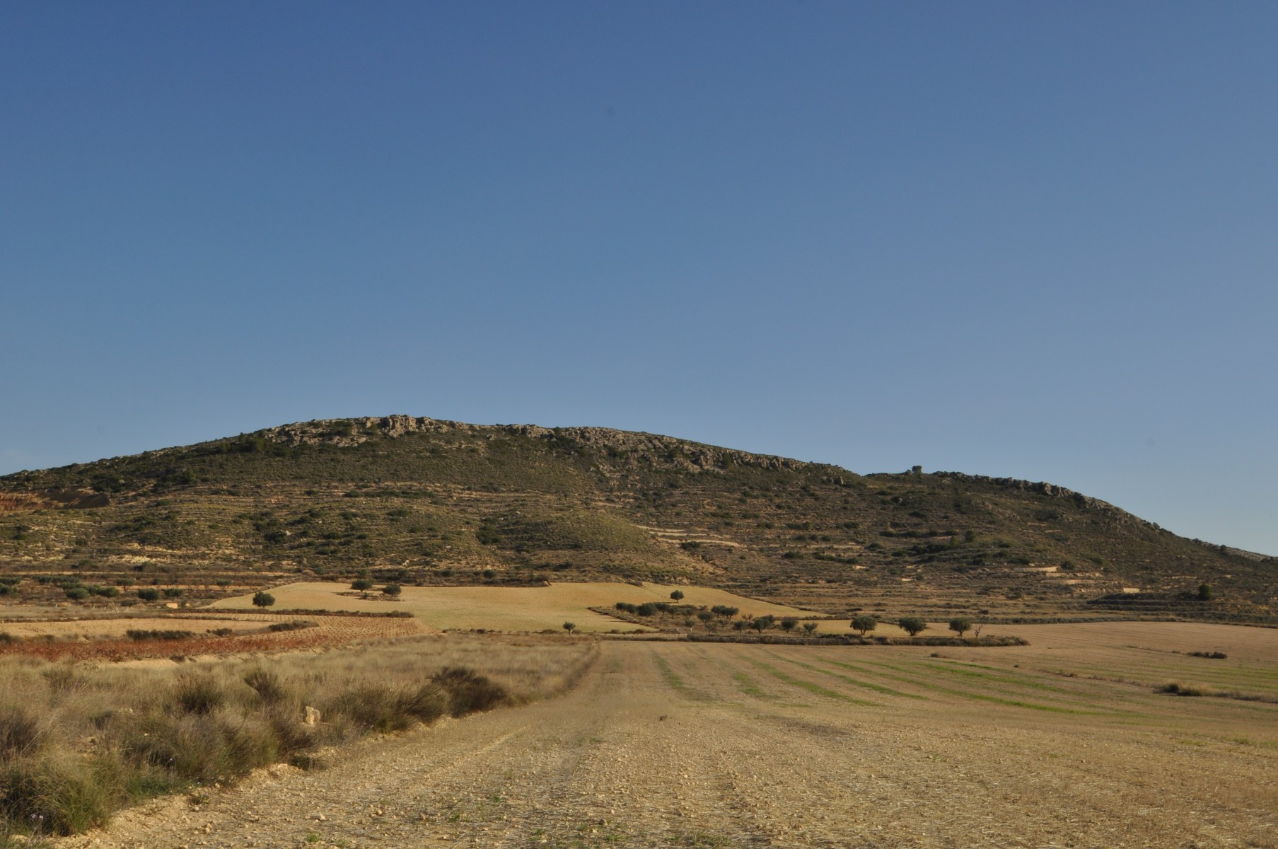 Dining area in land for sale in Torre Del Rico