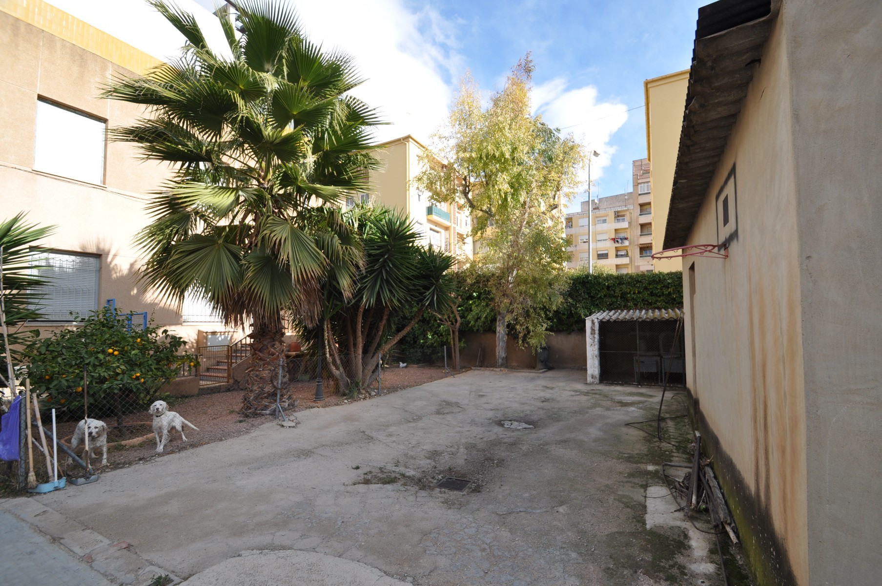 Exterior view in terraced for sale in Petrer