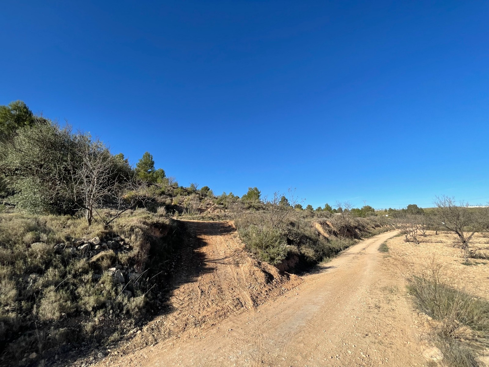 Exterior view in land for sale in La Zarza