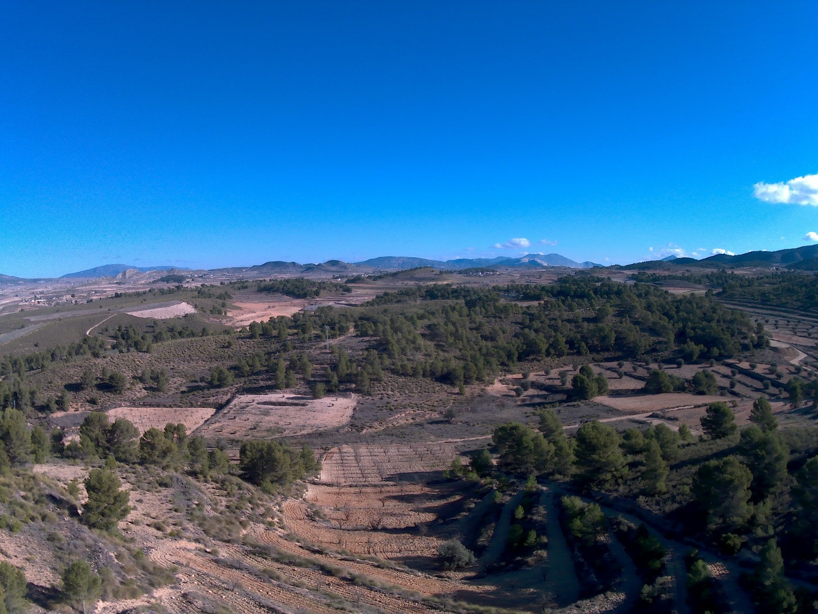 Terrace in land for sale in La Zarza