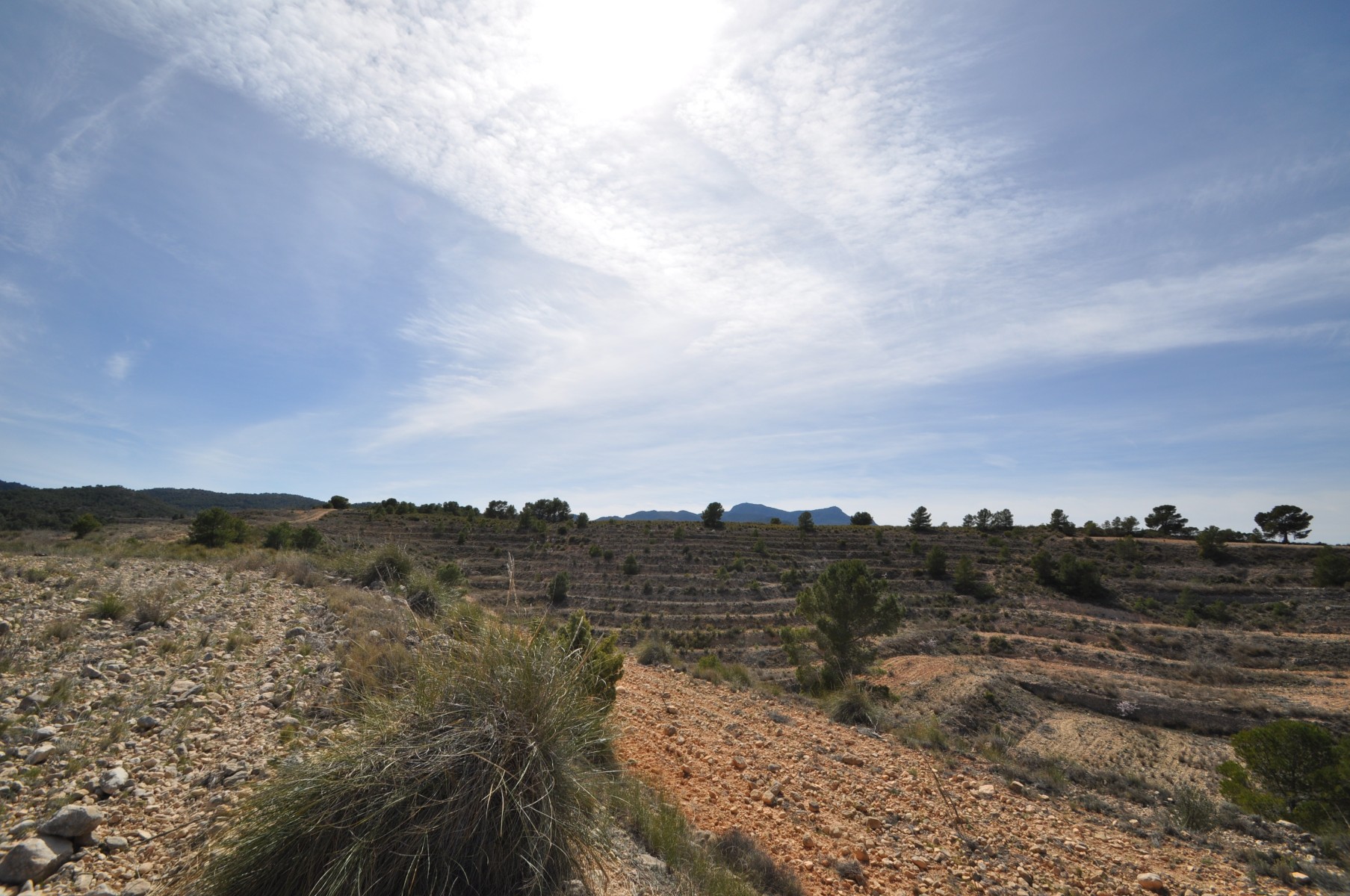 Master bedroom in land for sale in La Zarza