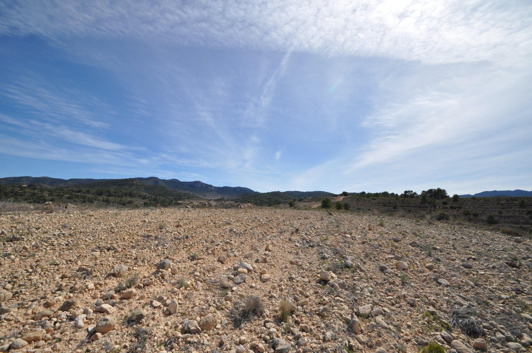 Terrace in land for sale in La Zarza