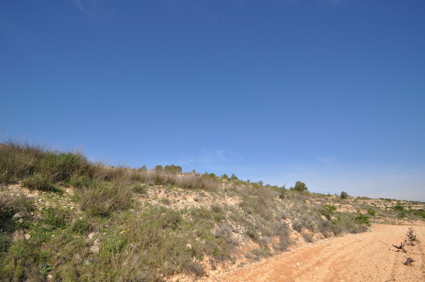 Garden in land for sale in La Zarza