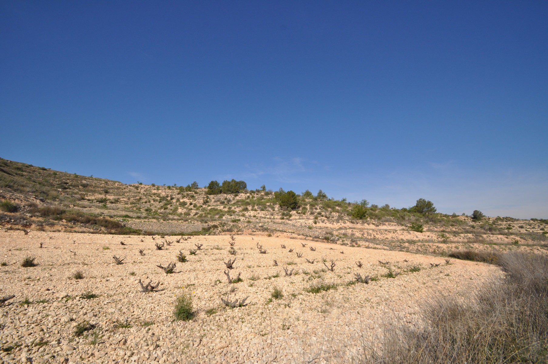Dining area in land for sale in La Zarza