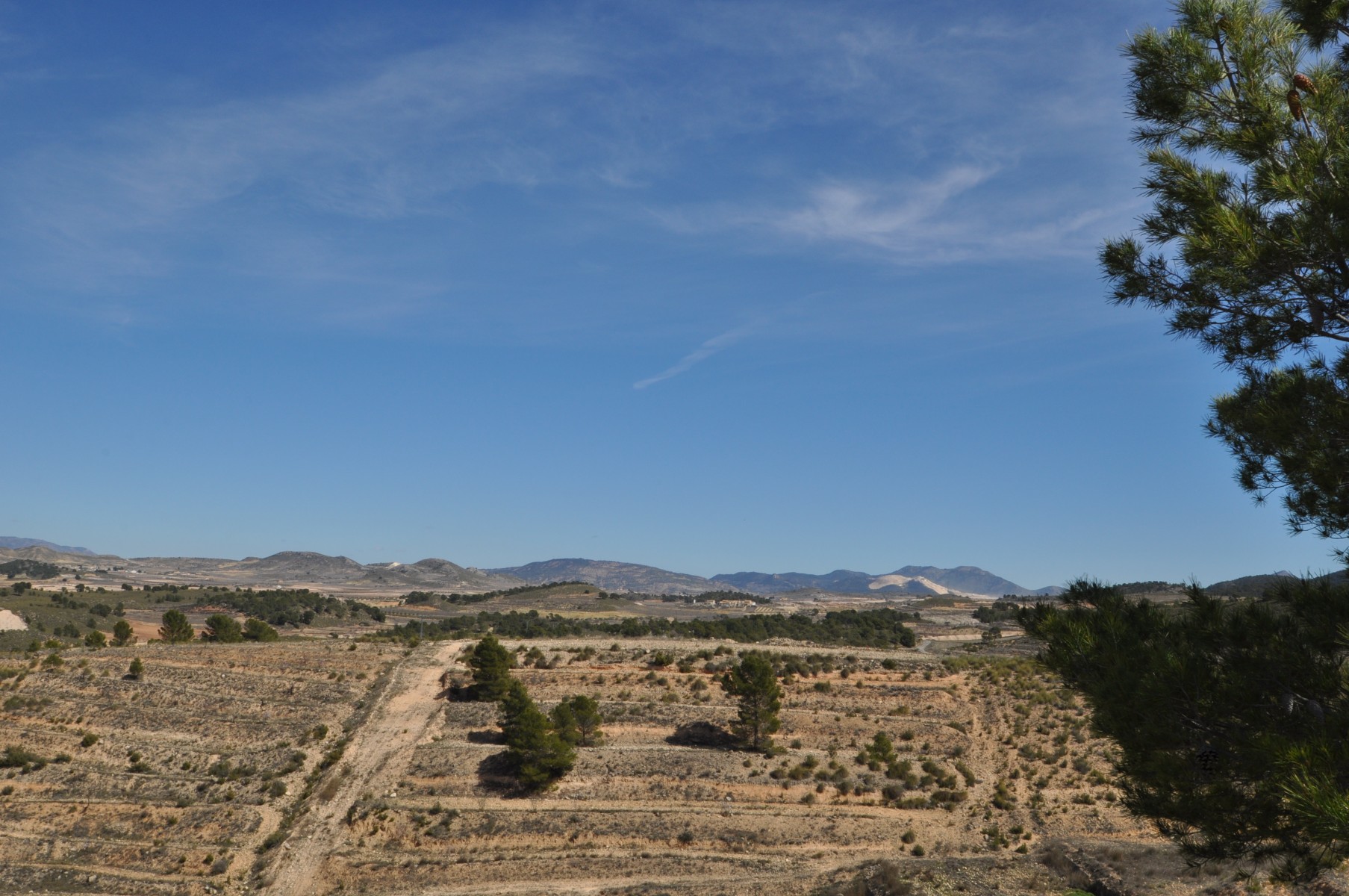 Kitchen in land for sale in La Zarza