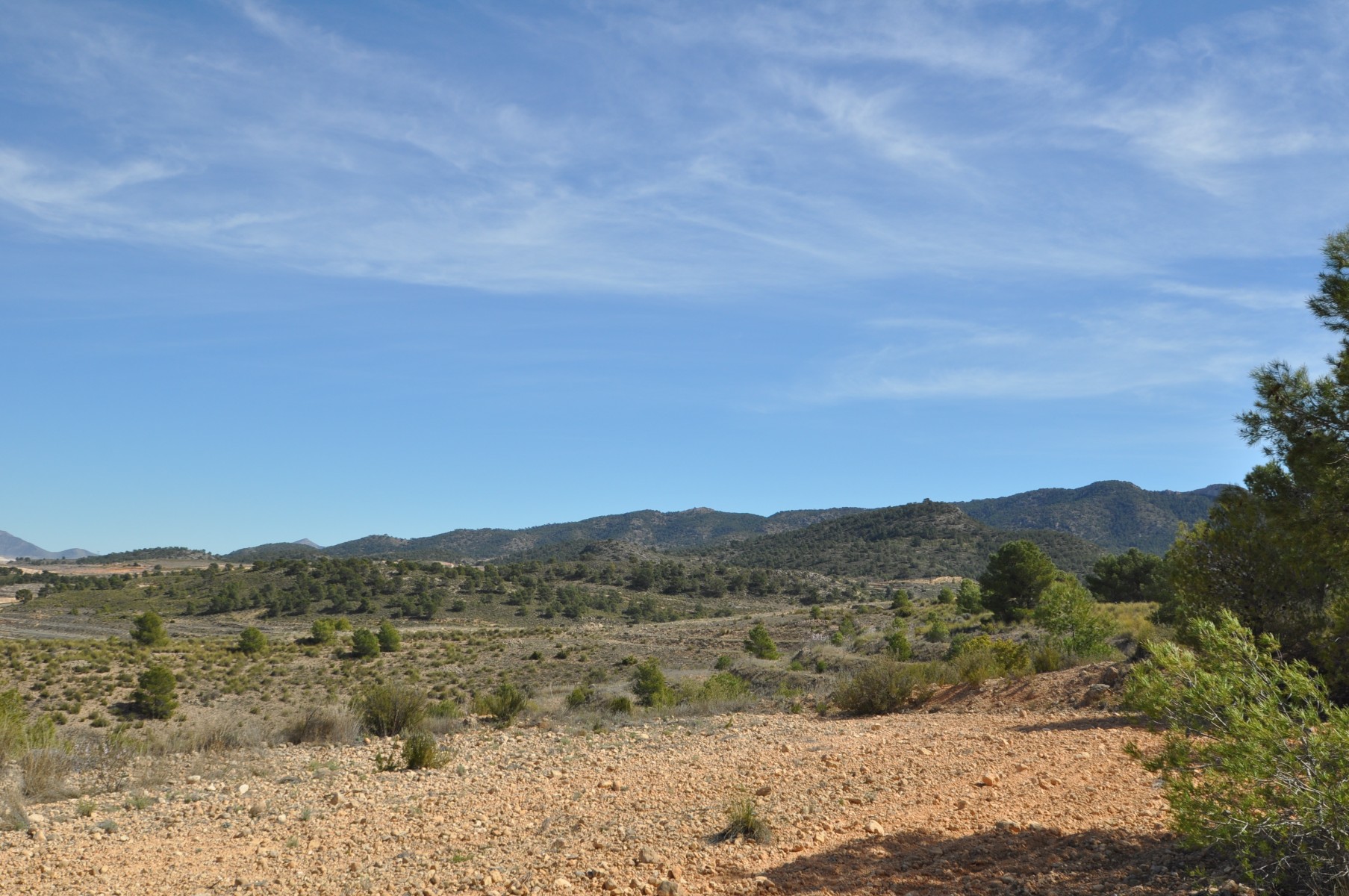 Pool area in land for sale in La Zarza