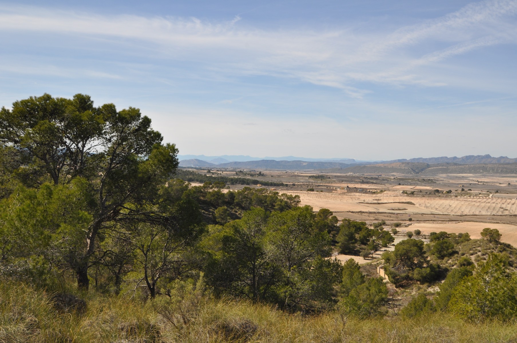 Terrace in land for sale in La Zarza