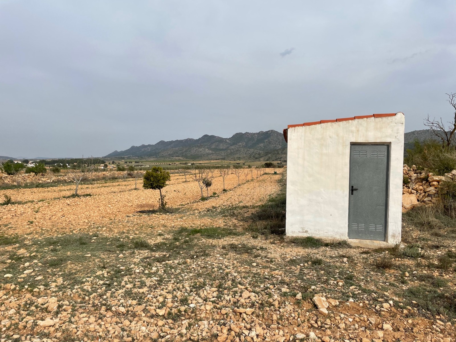 Kitchen in land for sale in Yecla