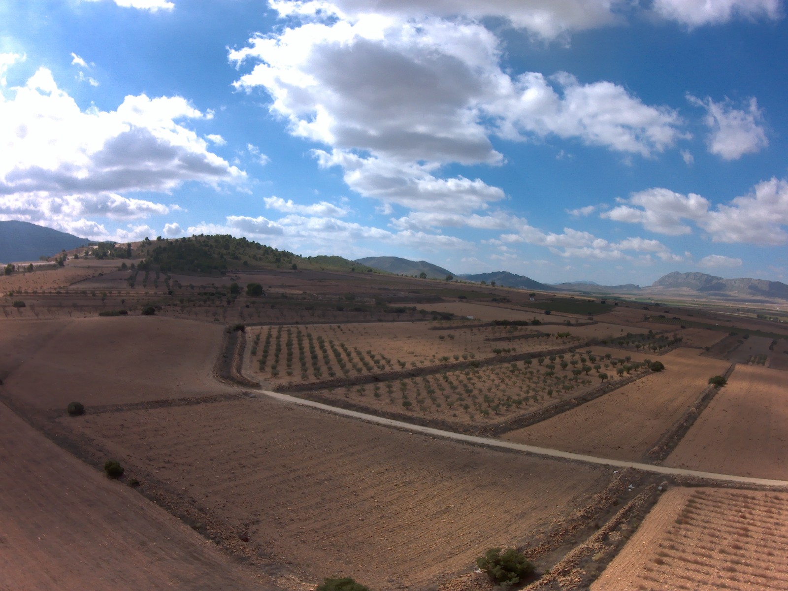 We have a large portfolio of properties in the Costa Blanca and Costa Calida areas, specialising in