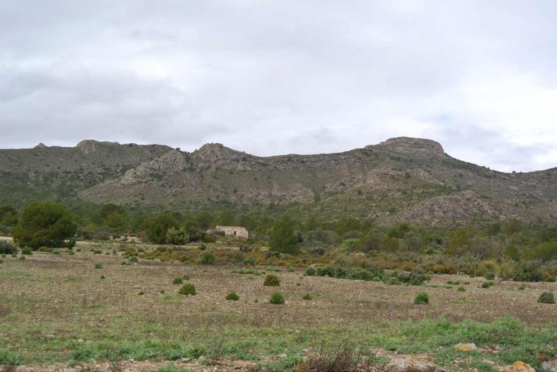 The price is negotiable - This is a enormous plot which was initially bought to build 2,500 houses a