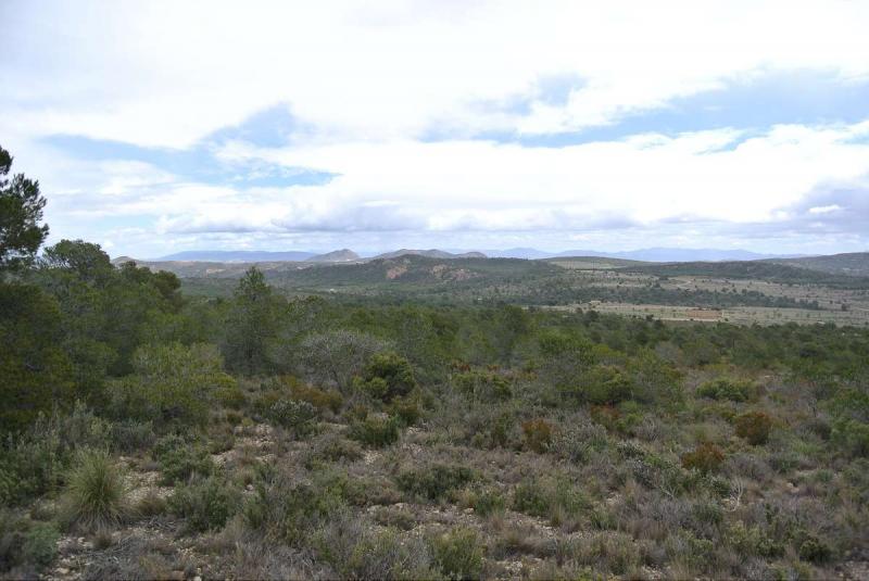 Exterior view in land for sale in Yecla