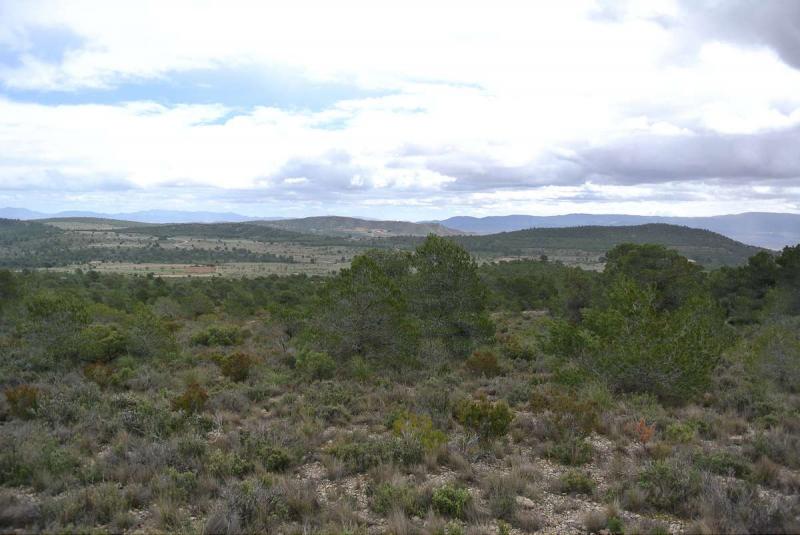 Living room in land for sale in Yecla