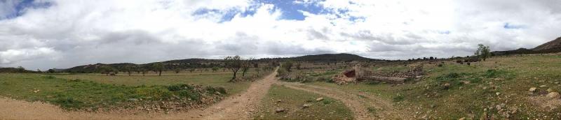 Kitchen in land for sale in Yecla