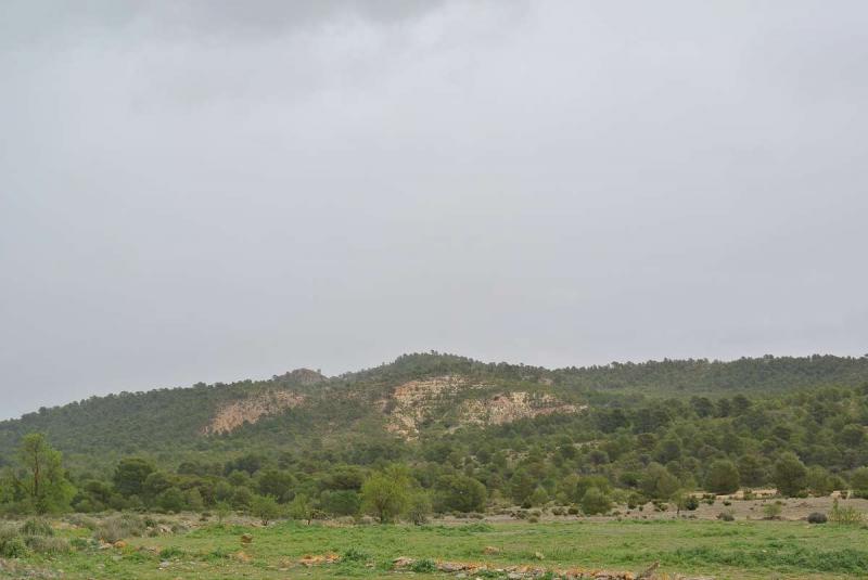 Terrace in land for sale in Yecla