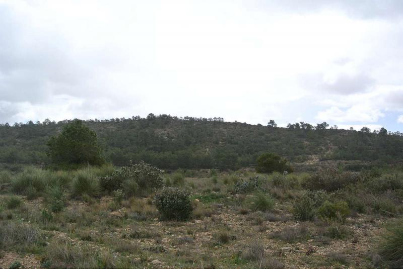 Bedroom in land for sale in Yecla