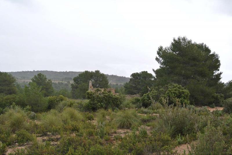The price is negotiable - This is a enormous plot which was initially bought to build 2,500 houses a