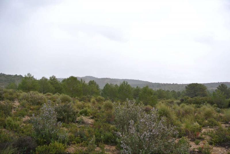 The price is negotiable - This is a enormous plot which was initially bought to build 2,500 houses a