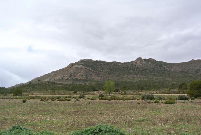The price is negotiable - This is a enormous plot which was initially bought to build 2,500 houses a