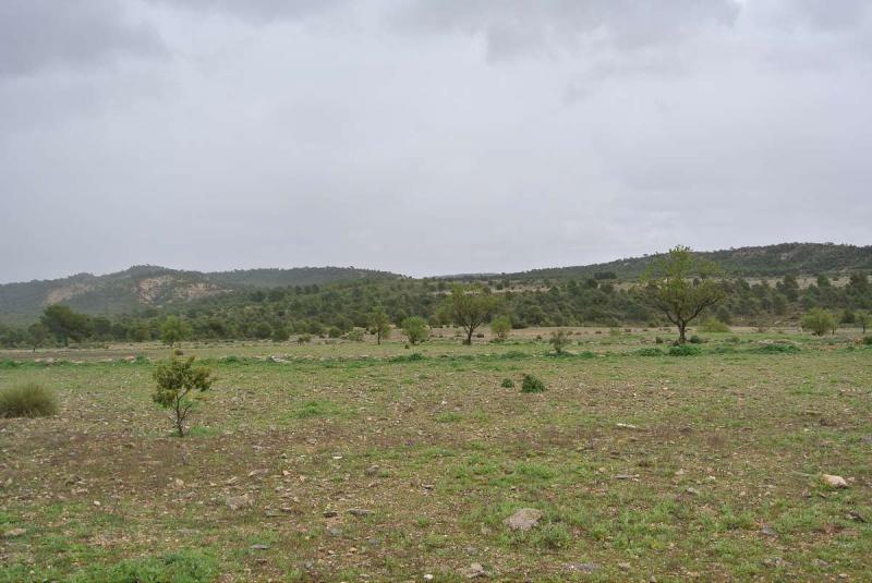 The price is negotiable - This is a enormous plot which was initially bought to build 2,500 houses a