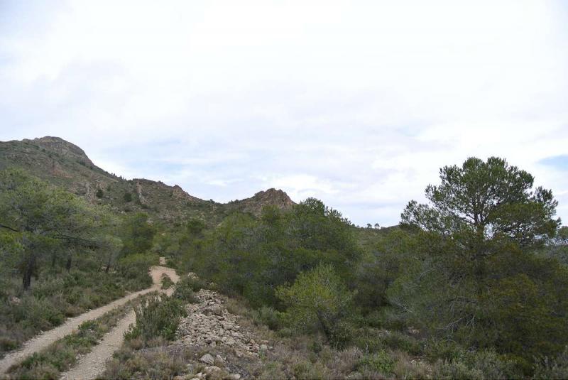 Bedroom in land for sale in Yecla