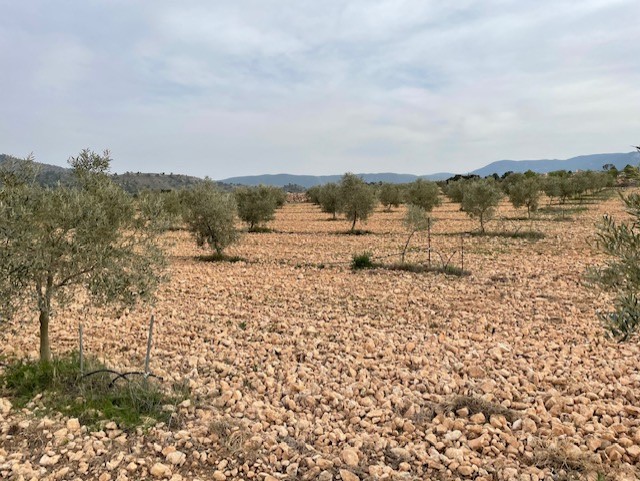 Building land with wonderful 360º landscape