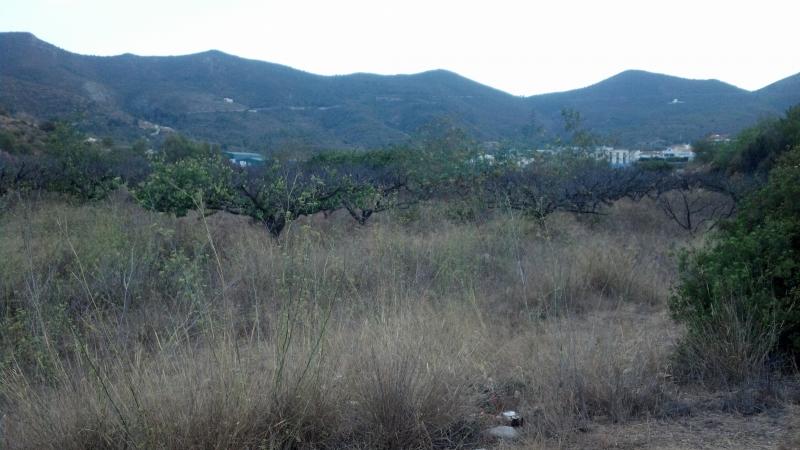 67,500 rustic land in Salem, 20km from Gandia