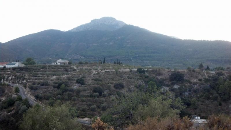67,500 rustic land in Salem, 20km from Gandia