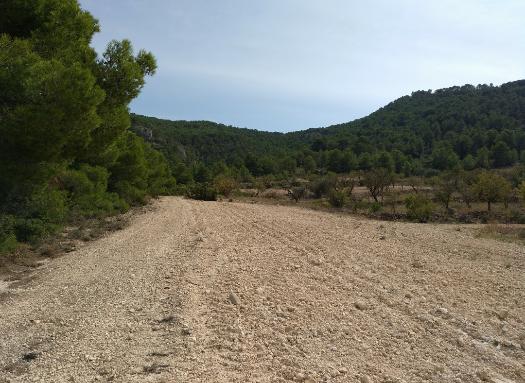 Plot of 5,020 square meters in terms of Abanilla