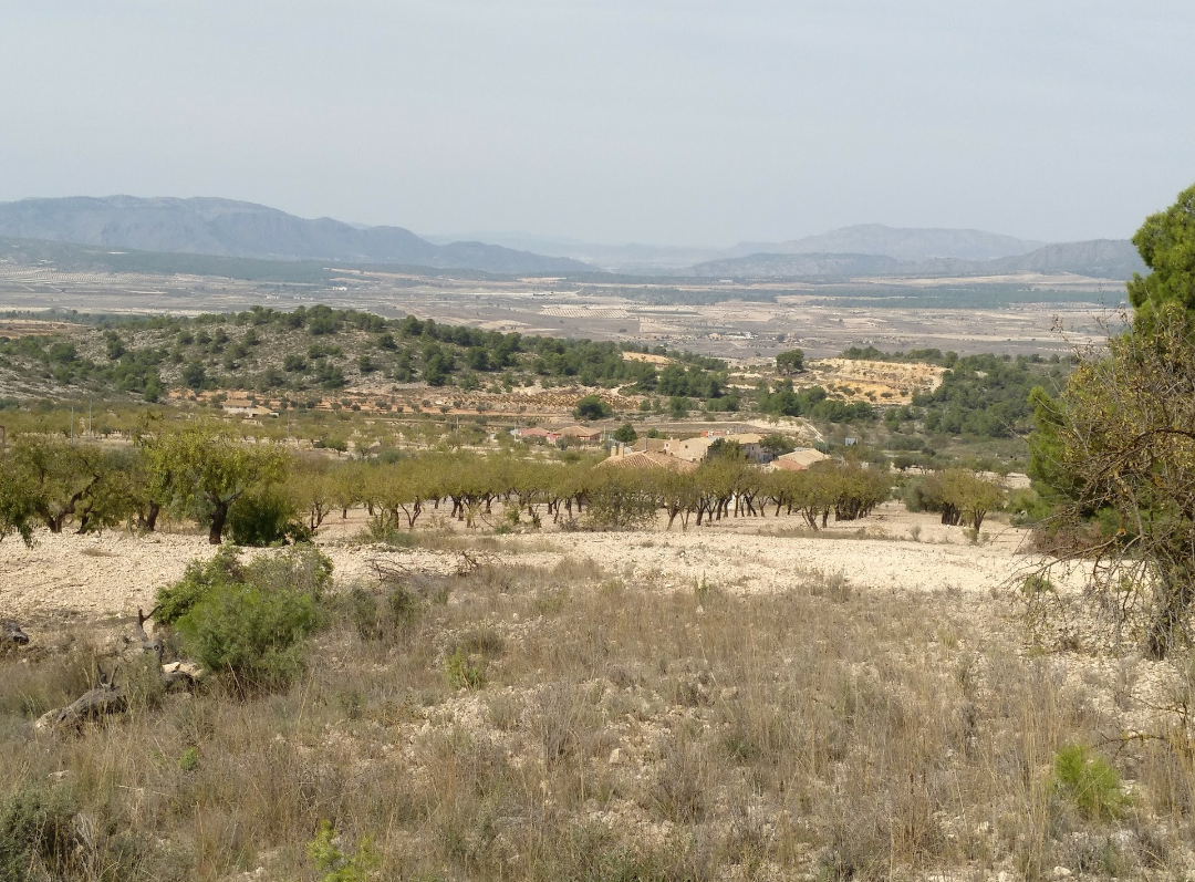 Plot of 5,020 square meters in terms of Abanilla