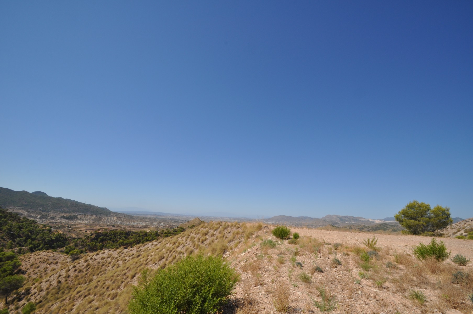 Garden in land for sale in Macisvenda