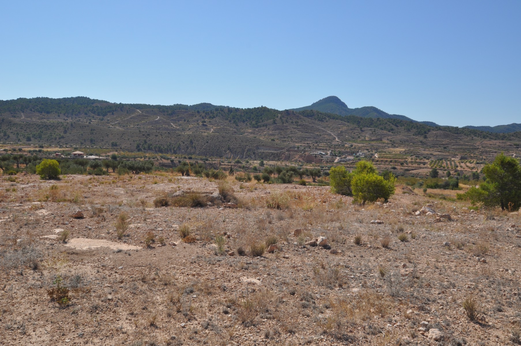 Living room in land for sale in Macisvenda