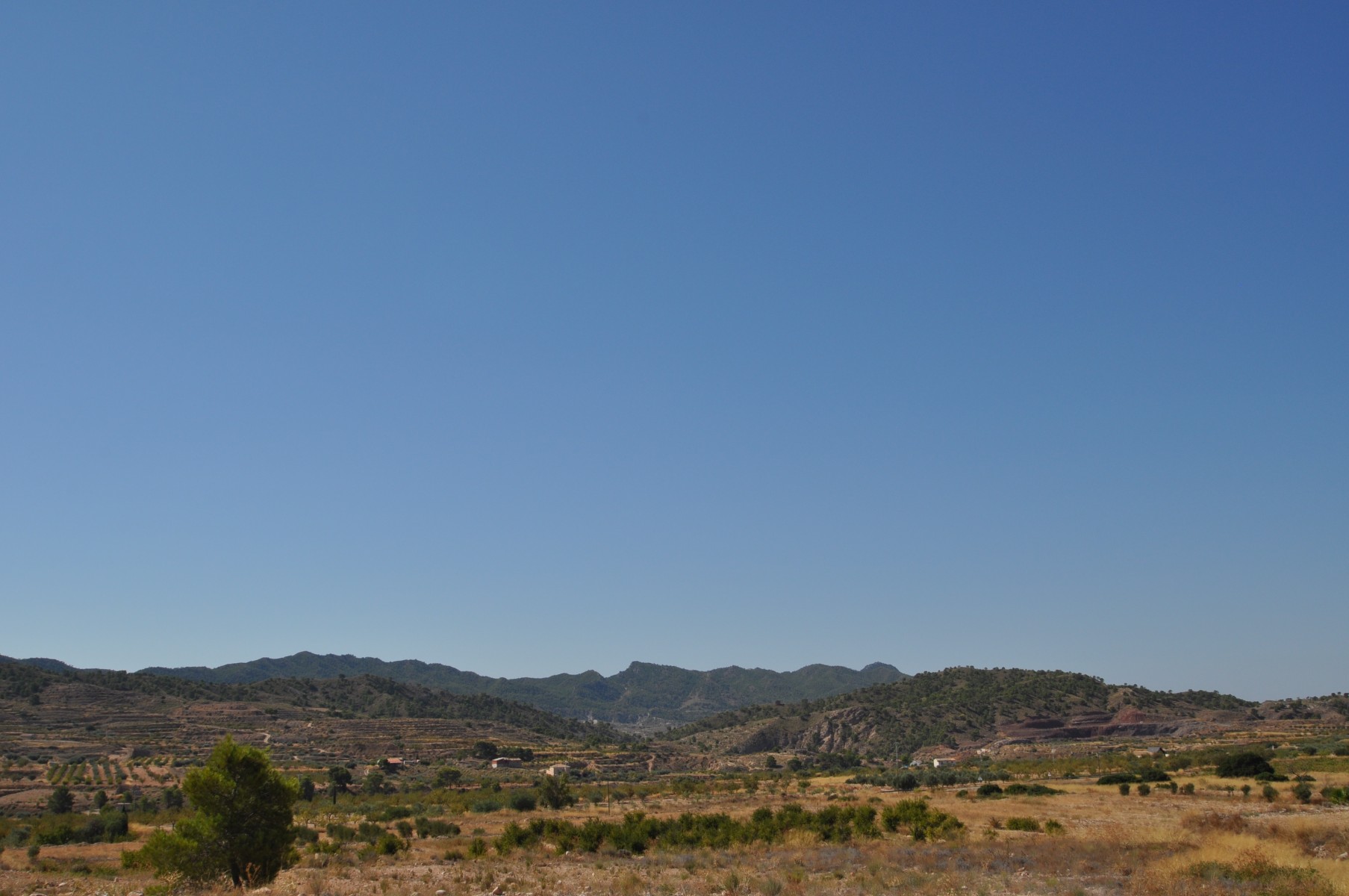 Garden in land for sale in Macisvenda