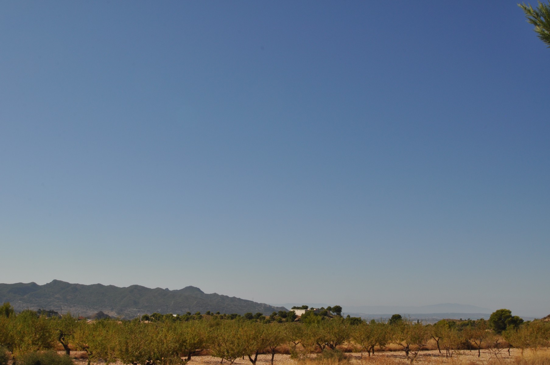 Terrace in land for sale in Macisvenda