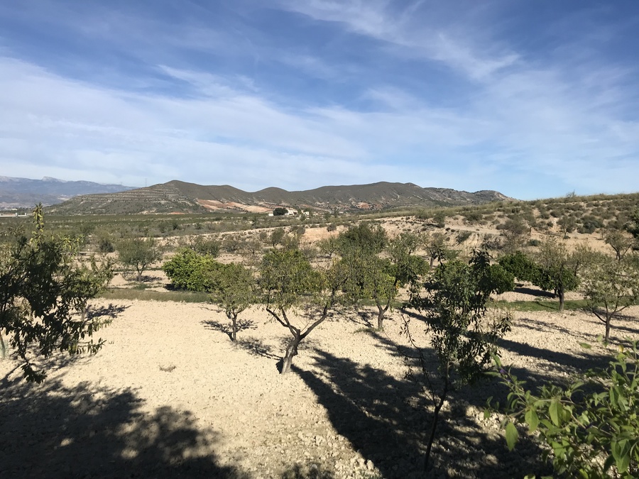 Master bedroom in finca for sale in Lorca