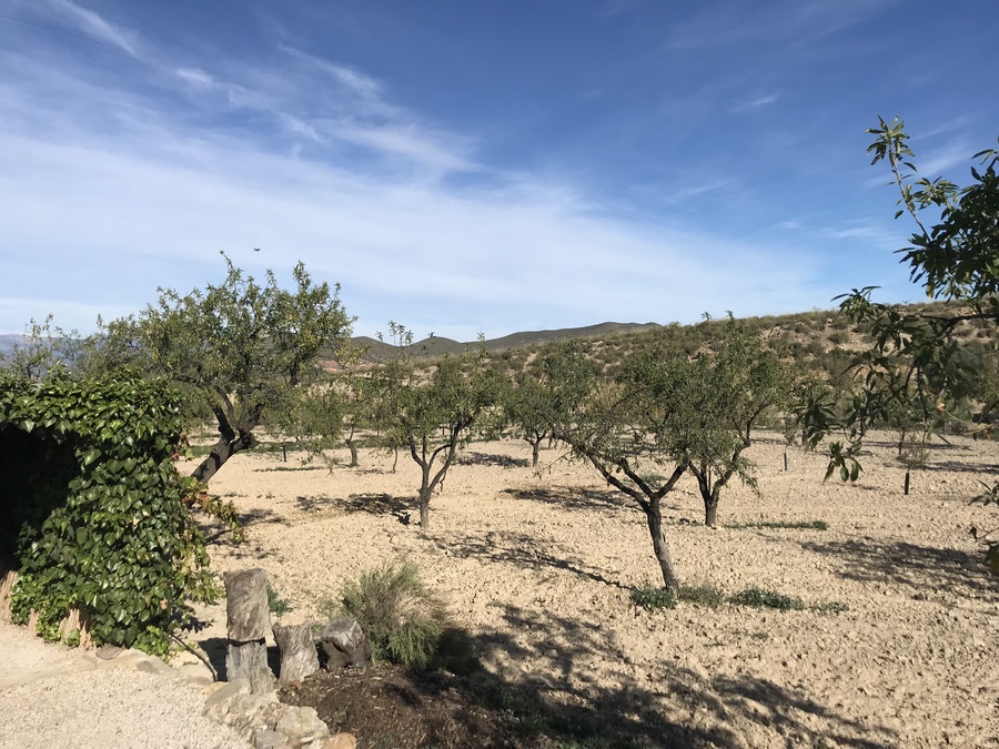 Exterior view in finca for sale in Lorca