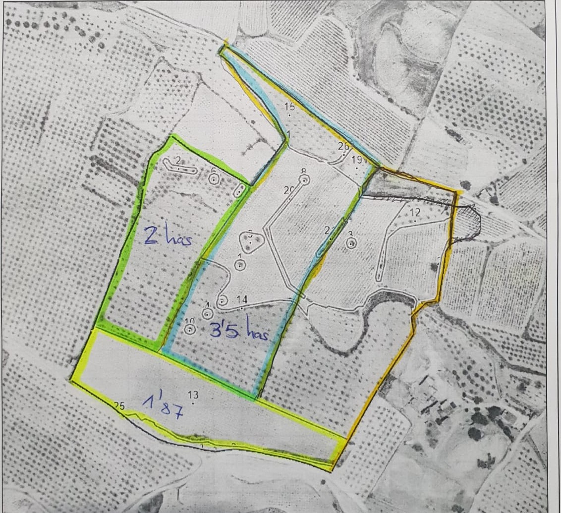 Large legal building plot located a short distance from the town of Pinoso which offers all your day