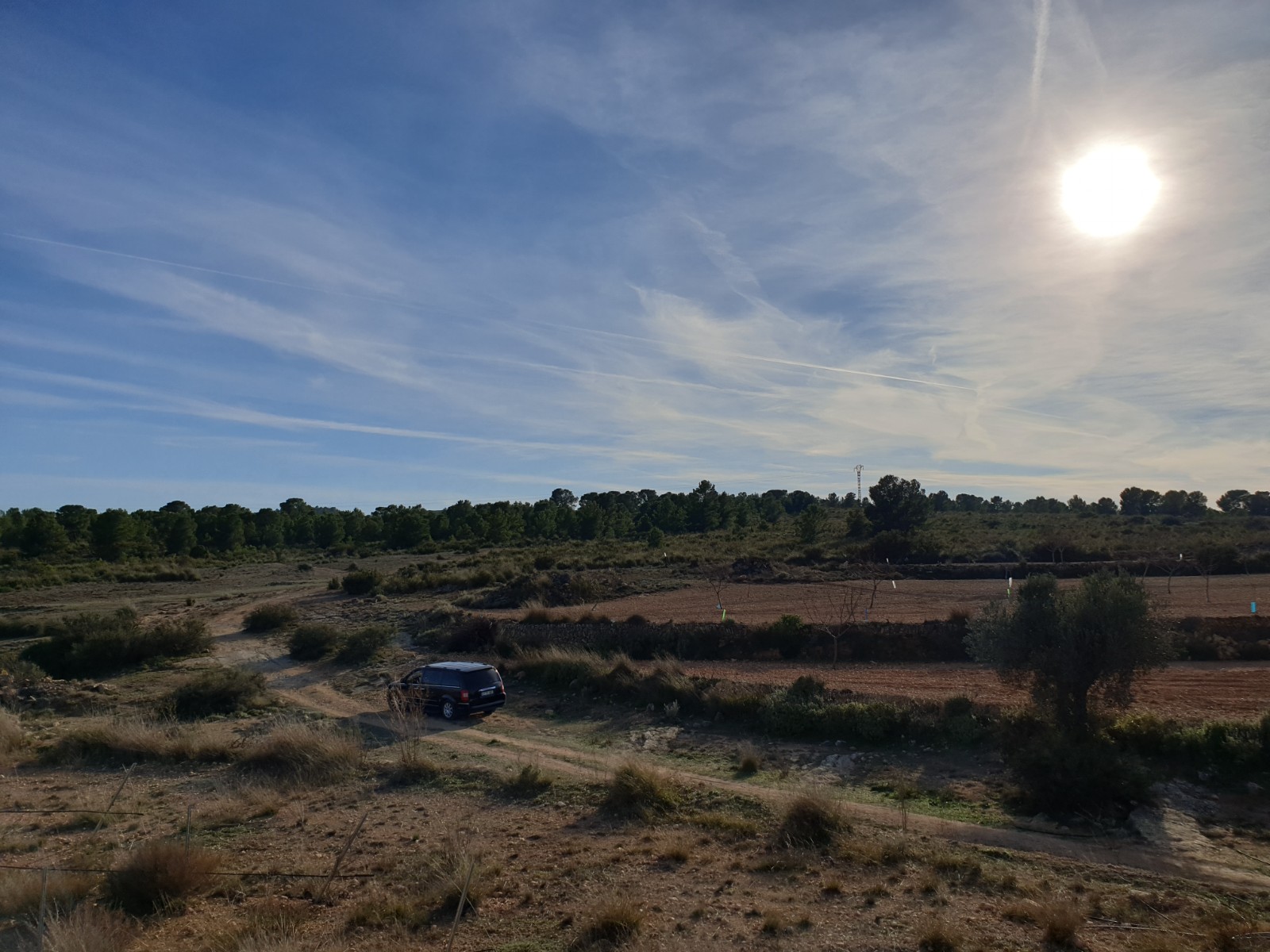 Kitchen in land for sale in Pinoso