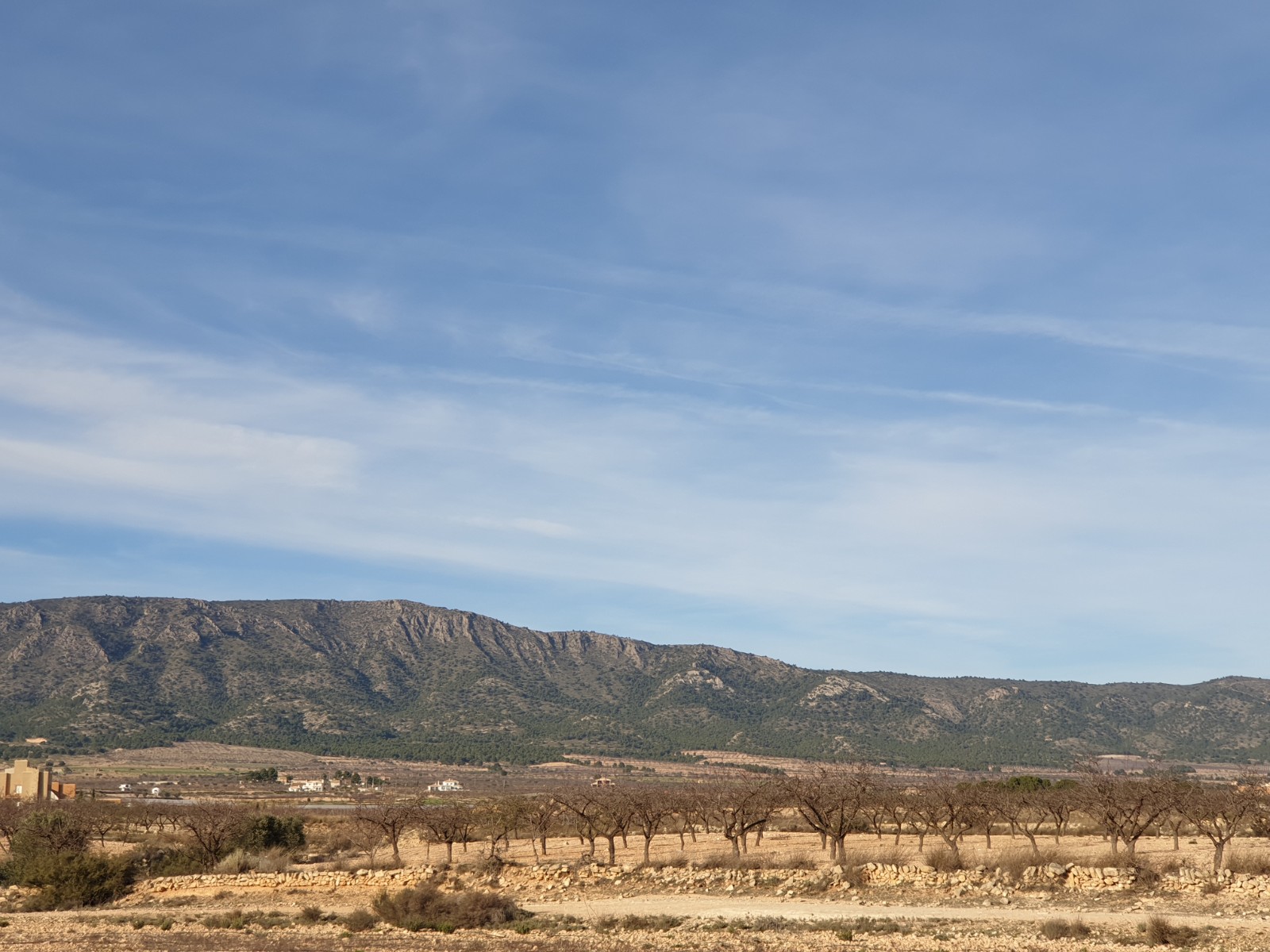 Terrace in land for sale in Pinoso