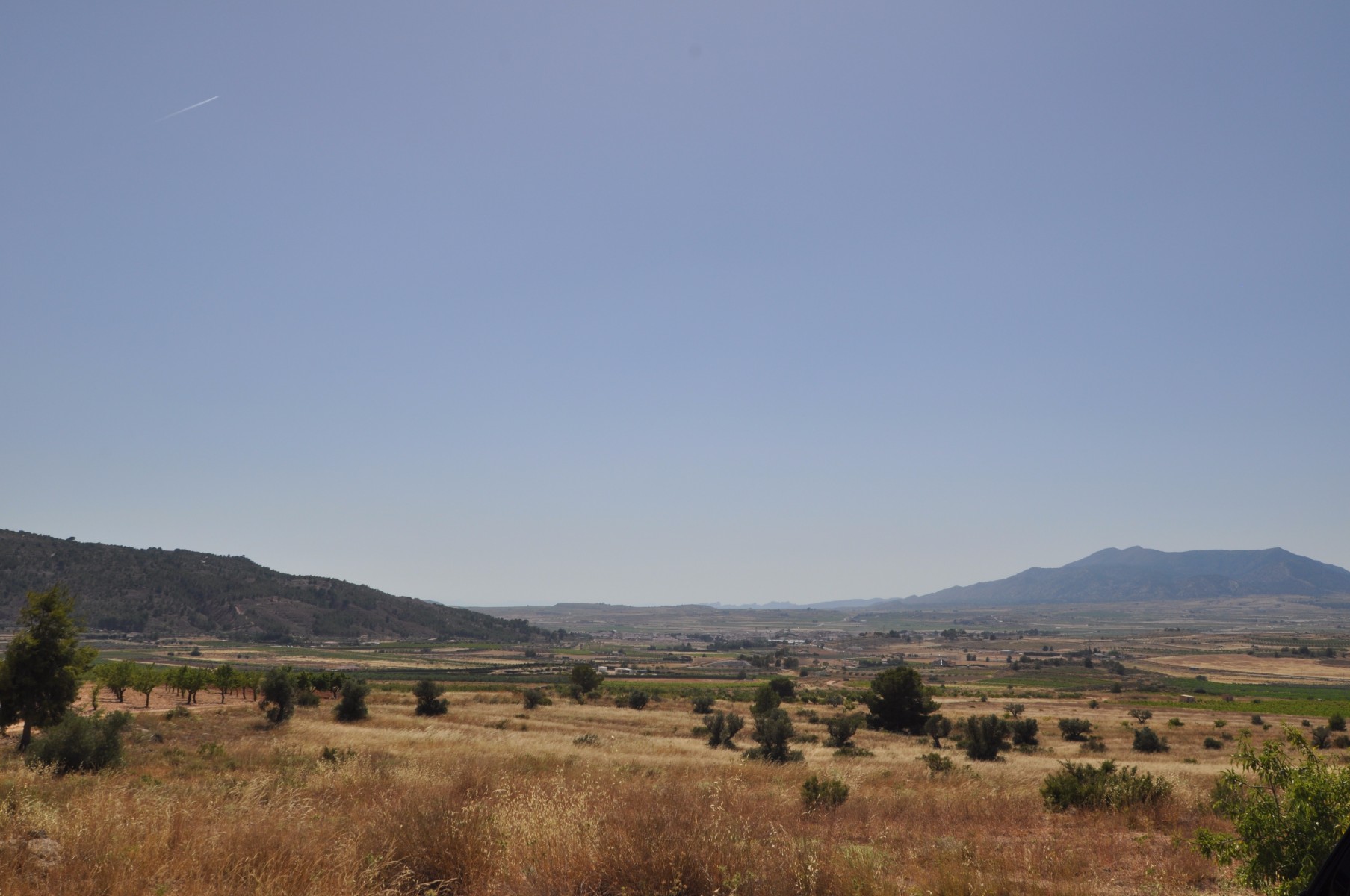 Terrace in land for sale in Pinoso